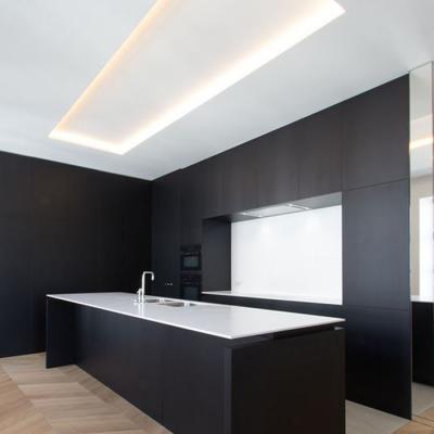 Agama Gallery11